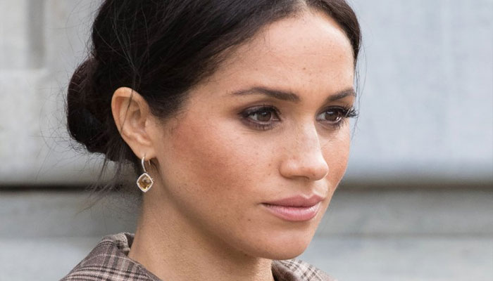 Meghan Markle’s axed Netflix project will only ‘fuel her like gasoline’