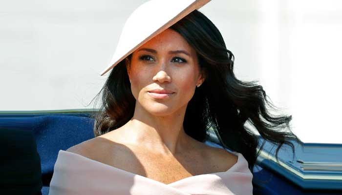 Prince Harrys wife Meghan Markle wont enter political sphere