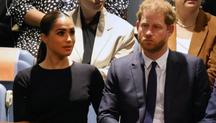 Meghan Markle wants answers as to why the UN hall was empty during Prince Harrys speech