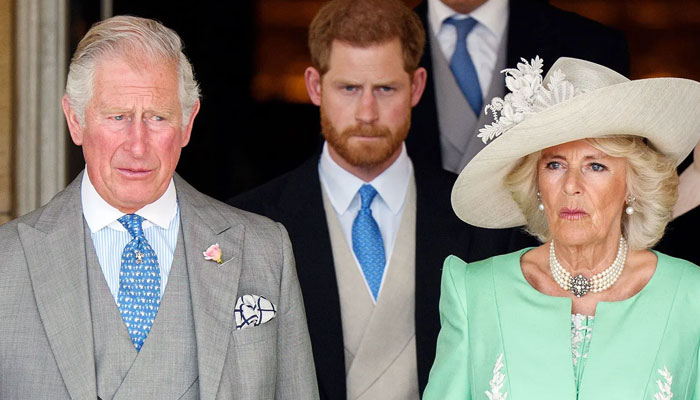 Harry to ‘settle scores’ with Camilla for Charles-Diana marriage fail