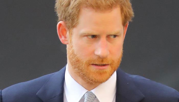 ‘Infuriated’ ex-police chief ‘out for blood’ over Prince Harry’s security bid against the UK