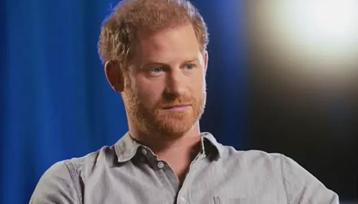 Prince Harry 'fun' in America will only last till his 'children are young'