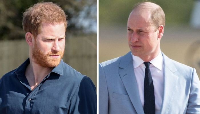 Prince William needs to decide Prince Harry’s future after ‘number one betrayal’