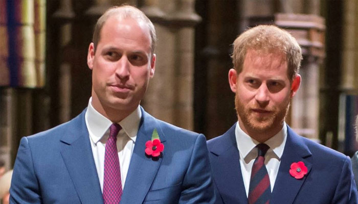 Prince William, Harry reconciliation is only wishful thinking, says expert