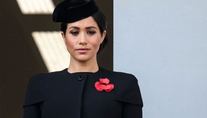 Meghan Markle ‘never came to terms with’ realities of ‘low baler’ royal status
