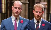 Prince William, Harry 'reconciliation' is 'only wishful thinking', says expert
