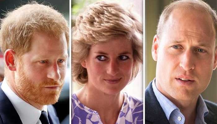 Princess Dianas former bodyguard makes big claim about Prince Harry