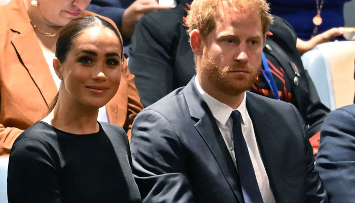 Prince Harry, Meghan Markle’s ‘depleting popularity cannot sell’ anymore