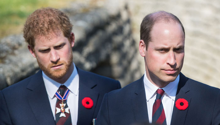 Prince William may get ‘furious’ over Harry’s claims in upcoming memoir