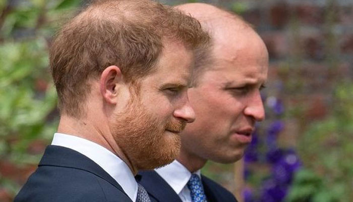 Rekonsiliasi Pangeran Harry dan William dijuluki ‘angan-angan’