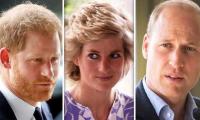 Princess Diana's former bodyguard makes big claim about Prince Harry