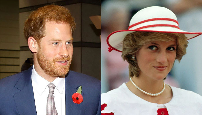 Prince Harry is 'overprotective' of Princess Diana when it comes to media