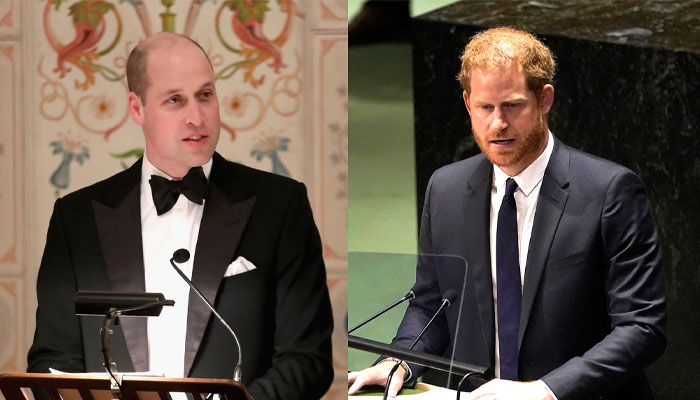 Prince William to speak at the UN after Prince Harry: reports