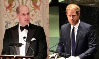 Prince William To Speak At The UN After Prince Harry: Reports