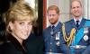 'Prince Harry and William very much their mother’s boys in so many ways'
