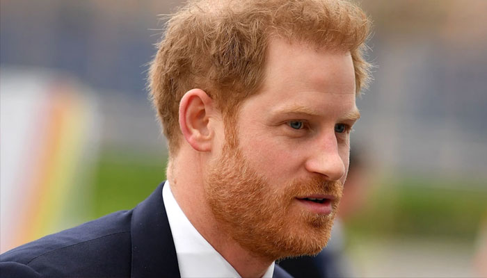 Prince Harry sparks fears of possibly ‘striking, taking down the Queen’