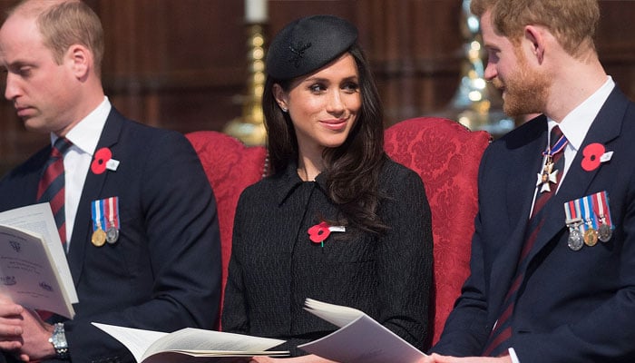 Meghan Markle holding Prince Harry away from Prince William reconciliation?