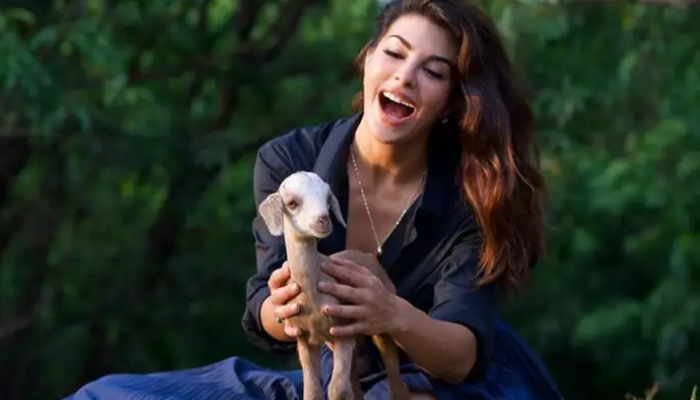 Jacqueline Fernandez chose to celebrate her birthday at an animal shelter this year