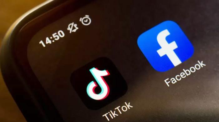 Rise of TikTok: Facebook use plunges among US teens, finds survey