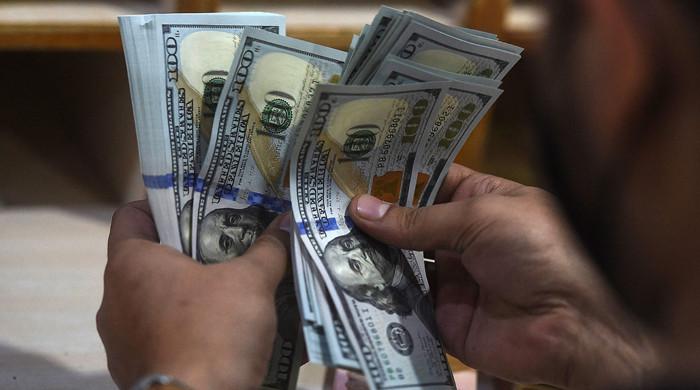 Foreign exchange reserves fall to lowest level since October 2019