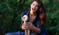 Jacqueline Fernandez keeps birthday simple with a visit to animal shelter