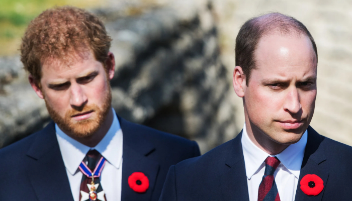 Prince William is reportedly not afraid of ‘stepping on the toes’ of Prince Harry with his upcoming trip to the US