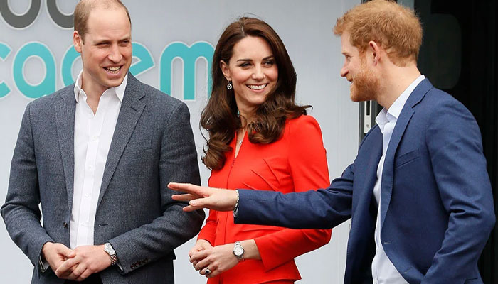 Prince Harry ‘threatened’ by Prince William’s trip to US