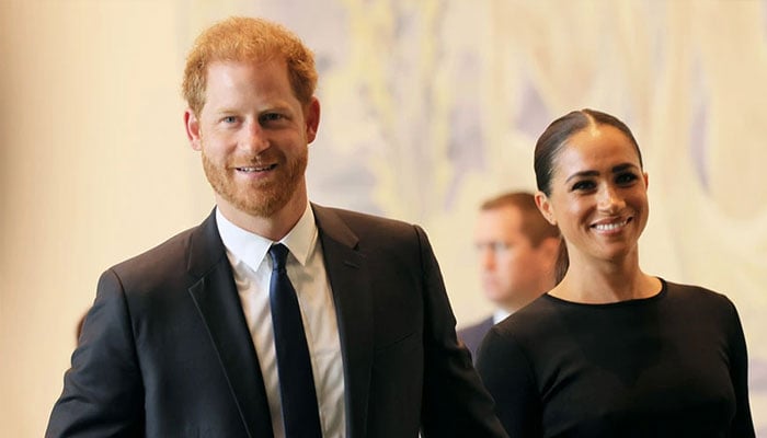 Prince Harry, Meghan Markle warned of sentiments that drip away credibility