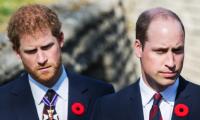 Prince William has 'zero reservations' about 'stepping on Prince Harry's toes' 