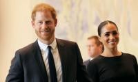 Prince Harry, Meghan Markle Warned Of 'sentiments' That 'drip Away Credibility'