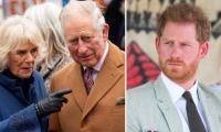 ‘Nervous’ royals ‘scared’ Prince Harry using memoir to ‘settle Diana’s score’ with Camilla