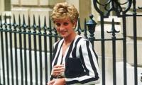 Prince William's admirers criticise his mother Princess Diana 
