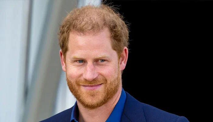Prince Harry advised to meet Queen during UK visit: ‘It’s important’