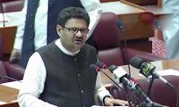 Miftah Ismail under fire: How are petrol prices fixed in Pakistan?