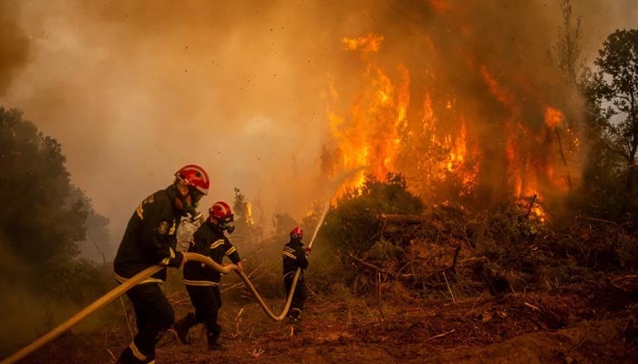 Firefighters in Serbia try to extinguish forest fire using a water hose in a village on Evia island. — AFP/File