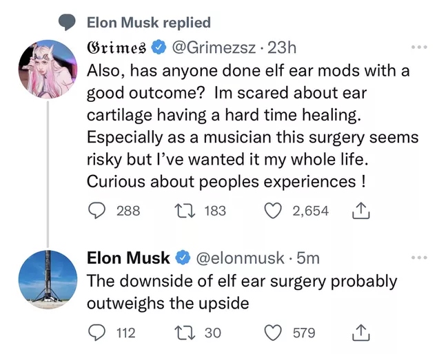 Elon Musk seemingly dislikes Grimes’ plan of face modifications and here is proof