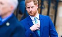 Prince Harry Pushed By Netflix To Spill ‘controversial’ Details About Family Life