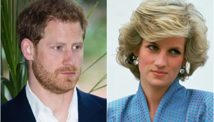 Prince Harry finds it 'bizarre' to see people grieving for his mother Diana