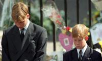 Diana’s Death S Investigator Pills Details Behind ‘emotional’ Chat With Prince William, Harry