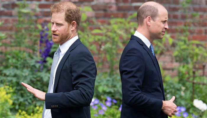 Royal expert expresses hope for Prince William and Harry’s reconciliation