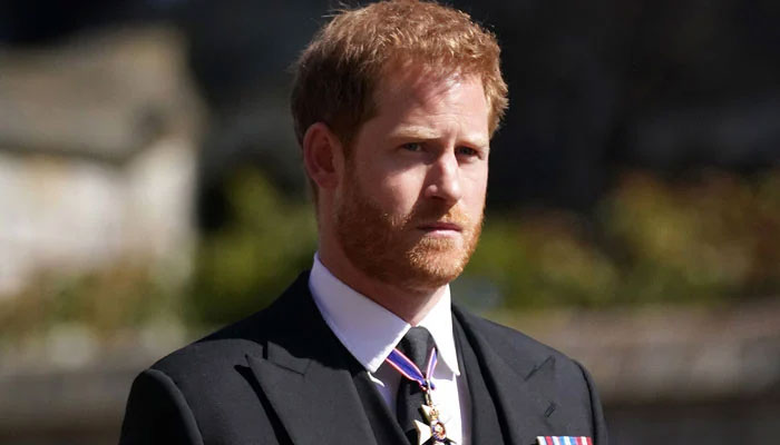 ‘Defaming!’ Prince Harry issued dire warning over Queen’s ‘reputation risk’