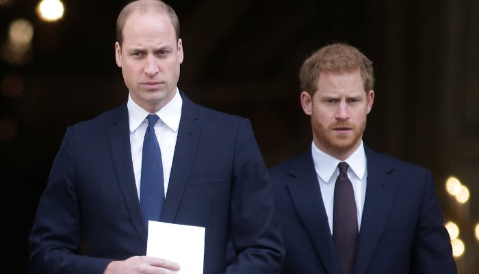 Prince William was reportedly so angry at Prince Harrys Megxit that he skipped an important lunch with him and Queen