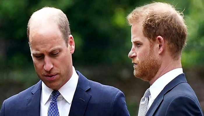 Prince William, Prince Harry ‘treading on toes’: ‘Reached boiling point!’