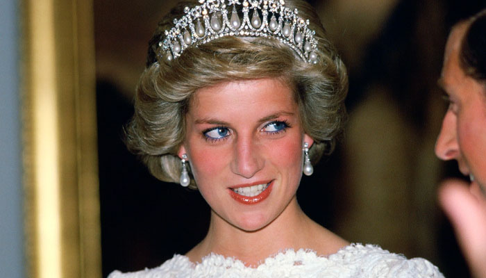 Princess Diana’s car crash was botched MI6 operation: believes ex-bodyguard