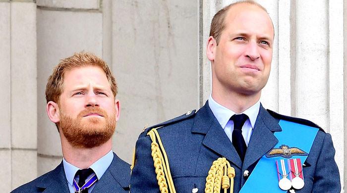 Prince William 'budding up' with American 'powerhouses' to beat Harry?