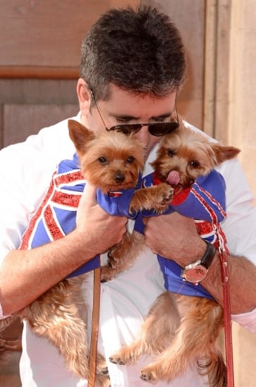 Simon pictured with his pet dogs Squiddly and Diddly