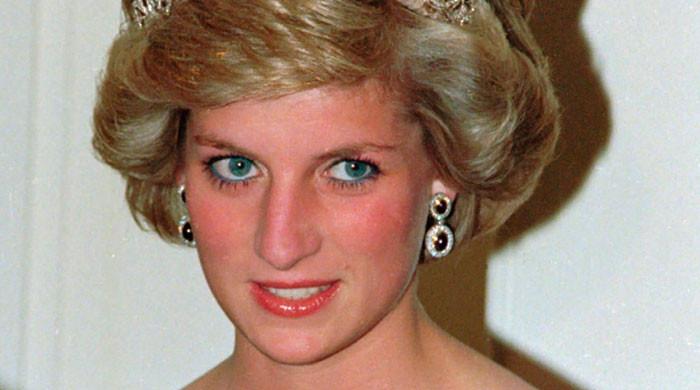 Princess Diana's death was not 'guaranteed' if the car crash was 'staged'