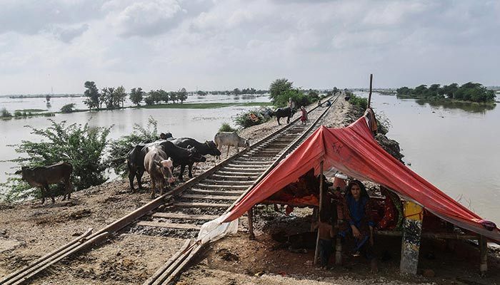 Sindh govt prepares to deal with flood water approaching from Balochistan