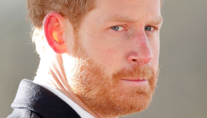 Prince Harry feeling ‘lonely’ without a ‘well-placed Eton chum or two’