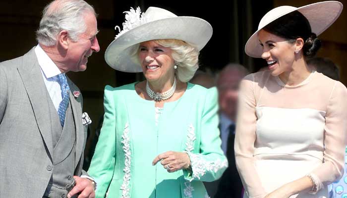 Camilla or Meghan - Who drove a wedge between Prince Charles and Harry?